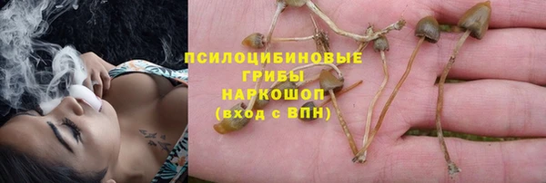соль ск Арсеньев